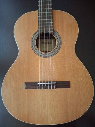 Guitarra Alhambra Z-Nature + Funda