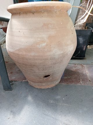 Tinaja de terracota y palmera