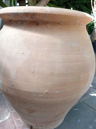 Tinaja de terracota y palmera