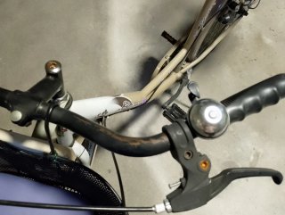Bici da donna Gloria