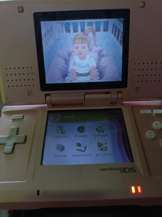 Nintendo ds