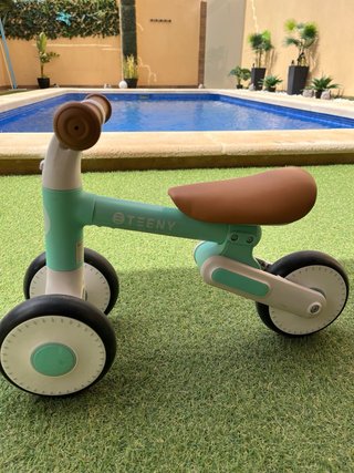 Bicicleta de aprendizaje Teeny Mint