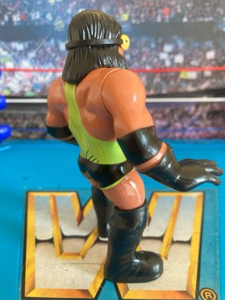 Action Figure Adam Bomb WWF hasbro wrestling wwe