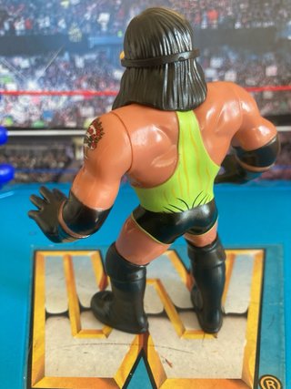 Action Figure Adam Bomb WWF hasbro wrestling wwe