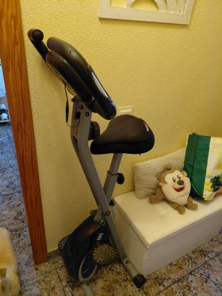 Bicicleta Estática Ultrasport F-BIKE