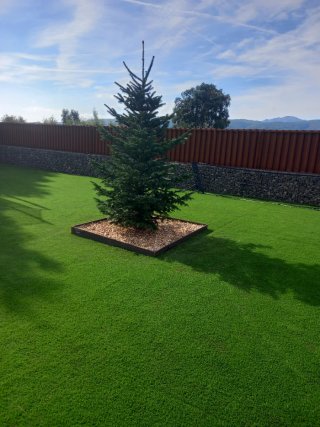 Limpieza y desbroce parcelas y jardines