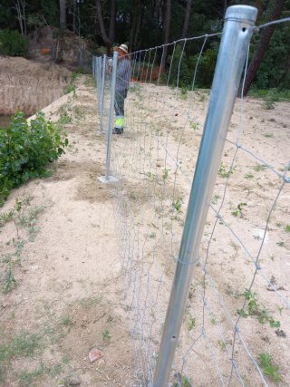 Limpieza y desbroce parcelas y jardines