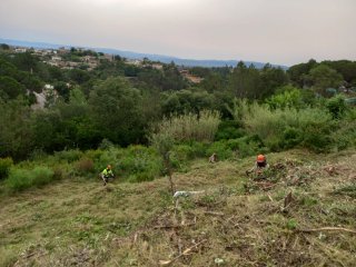 Limpieza y desbroce parcelas y jardines