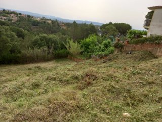 Limpieza y desbroce parcelas y jardines