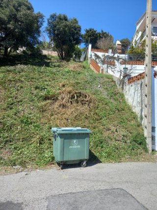 Limpieza y desbroce parcelas y jardines