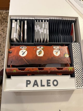 Juego de mesa Paleo + Inserto 3D.