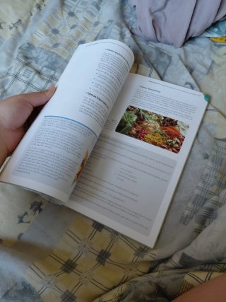 Ofertas gastronómicas