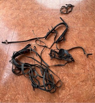 Arreos/Aparejos para Pony