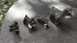 Familia de perros miniatura