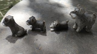 Familia de perros miniatura