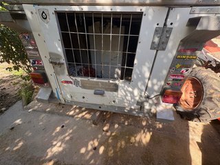 Remolque ligero o transporte para perros