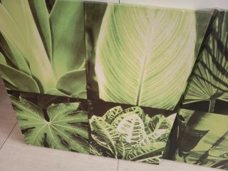 2 Cuadros Decorativos Hojas Tropicales