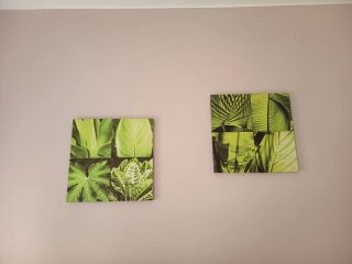 2 Cuadros Decorativos Hojas Tropicales