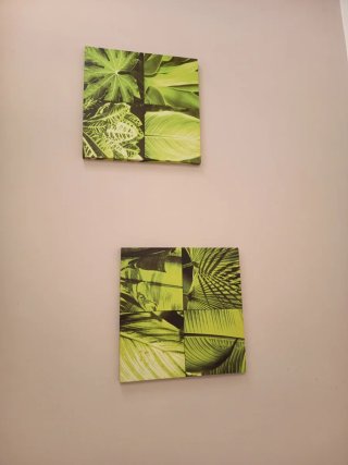 2 Cuadros Decorativos Hojas Tropicales