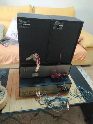 Equipo de gravacionSony con Altavoces Panasonic