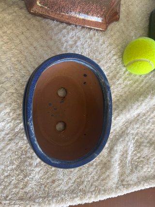 Macetas de cerámica para bonsái