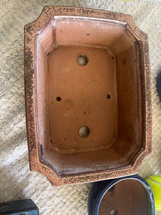 Macetas de cerámica para bonsái