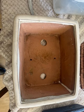Macetas de cerámica para bonsái