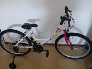 Bicicleta denbike 24" uso de dos veces