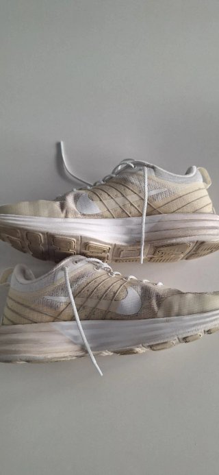 Nike Lunar Roam Phantom Light Bone