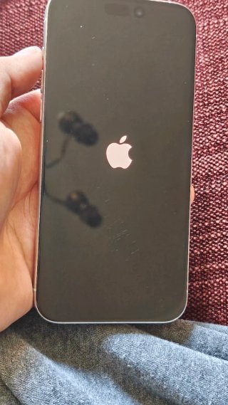 iPhone 15 Pro Max 256GB Batería 86%