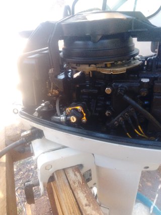 Motor fueraborda Evinrude 8.0 Yachtwin