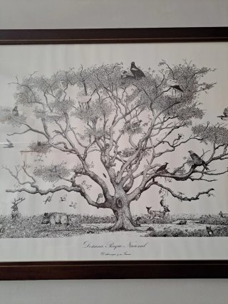 Lámina Pajaros Doñana Marco Madera