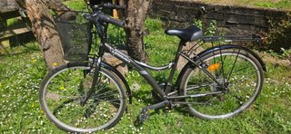 Bicicleta Paseo Romester Urbana