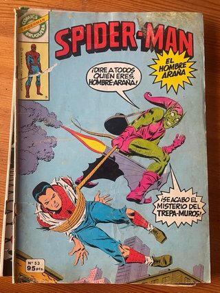 Comics spiderman Brugiera