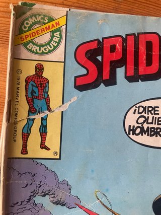 Comics spiderman Brugiera