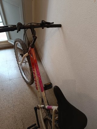 Lote de 3 Bicicletas