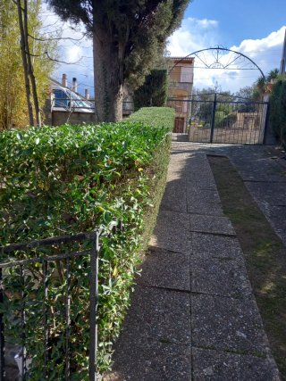 jardineria y trabajos forestales