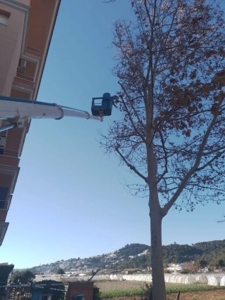 jardineria y trabajos forestales