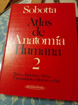 2 libros de Anatomía Sobotta – Atlas completos