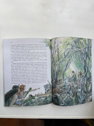 Libro Metamorfosis