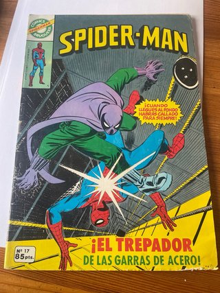 Comics spiderman briguera