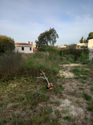 Limpieza y desbroce parcelas terrenos i jardines