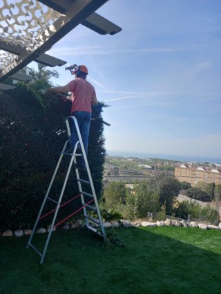Limpieza y desbroce parcelas terrenos i jardines