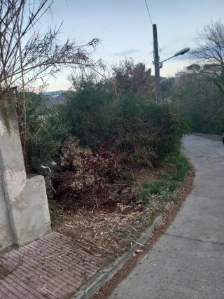 Limpieza y desbroce parcelas terrenos i jardines