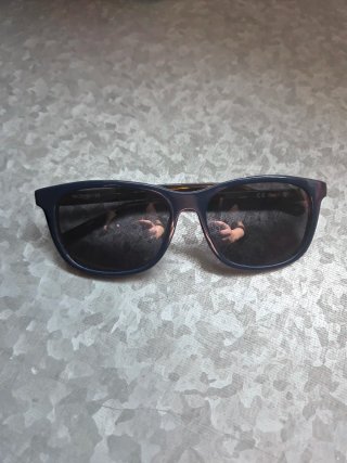 Gafas de sol azul cobalto y carey Cat. 3