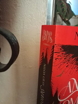 Libro Anhelo de sombras