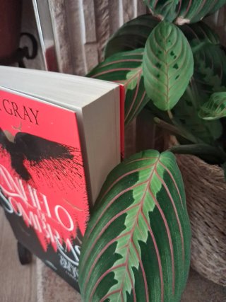 Libro Anhelo de sombras