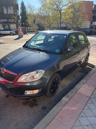 Skoda Young 2012