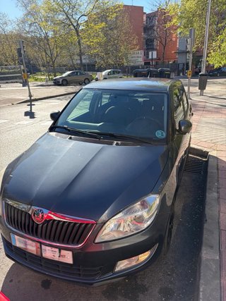 Skoda Young 2012