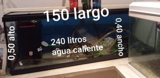 Oferta flash 2 Pececeras con adornos filtros y luz